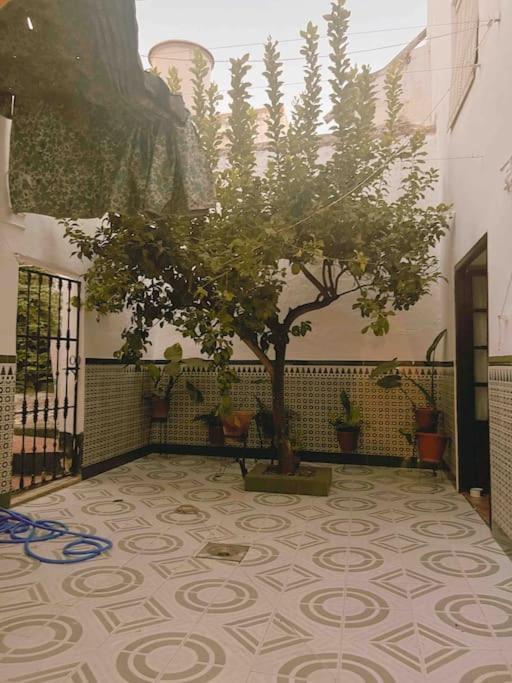 Willa La Casa De Manolita Baena Zewnętrze zdjęcie
